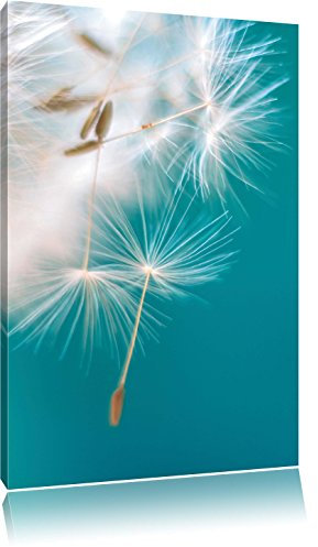 Pixxprint Wunderschöne Pusteblume, Größe: 60x40cm, Leinwandbild, fertig gespannt, Wandbild, Dekoration, Kunstdruck, kein Poster