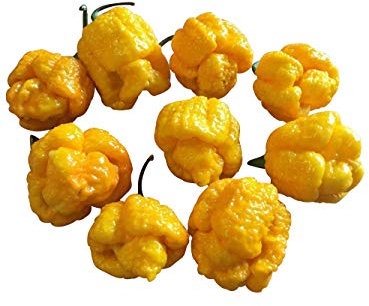 Trinidad Scorpion Moruga Jaune graines de piment 10 pièces 2.000.000 Scoville