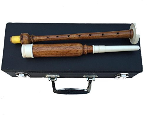 Cornamusette scozzesi in palissandro naturale, in argento, con custodia rigida per il trasporto, cornamusa, 2 canne, Dudelsack/Gaita