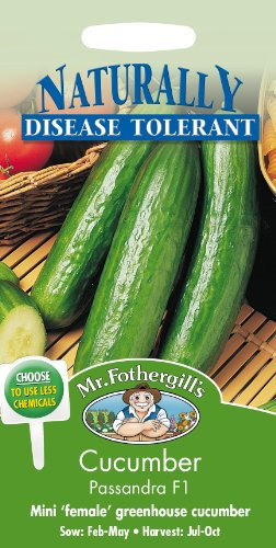 Mr Fothergill?s Seeds Ltd 24496 Vegetable Seeds, Cucumber Passandra F1