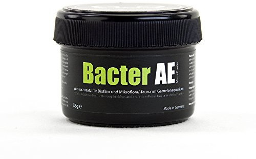 GlasGarten Bacter AE - Trattamento per Serbatoio di gamberetti (35 g) | Nutrienti per Cibo Vivo di gamberetti d'Acqua Dolce e Acqua per Acquario (Neocaridina, Amano, Red Cherry, Rili)