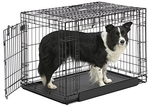 MidWest Homes for Pets - Ovation Hundekäfig mit Doppeltür, 91 cm, klappbar, aus Metall, Fronttür und „Up & Away“-Seitentür, platzsparendes Design, mittelgroße bis große Rassen
