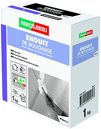 PAREXLANKO Enduit de rebouchage pour trous ou fissures sans retrait. 1Kg