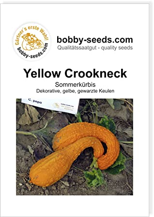Bobby-Seeds Kürbissamen Yellow Crookneck Portion