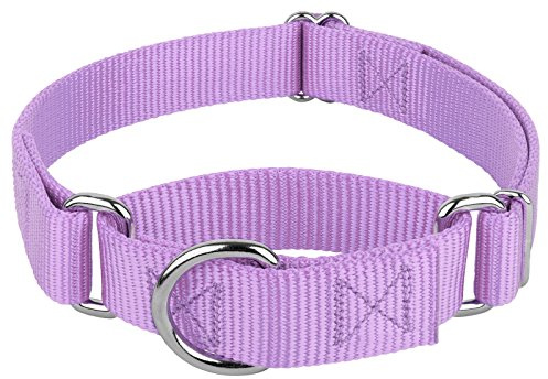 Country Brook Petz - Martingale Dog Collar - Heavy-Duty Training Collar with No Buckle - Service Dog Collar for All Pups - 10+ Cool Colors (Lavender, 3/4 Inch, Small)