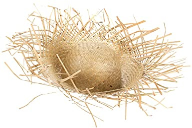 DEGUISE TOI - Chapeau en paille claire Hawaï adulte - 1 Chapeau - Taille Unique - Blanc - Accessoires pour déguisement - Paille - - Carnaval
