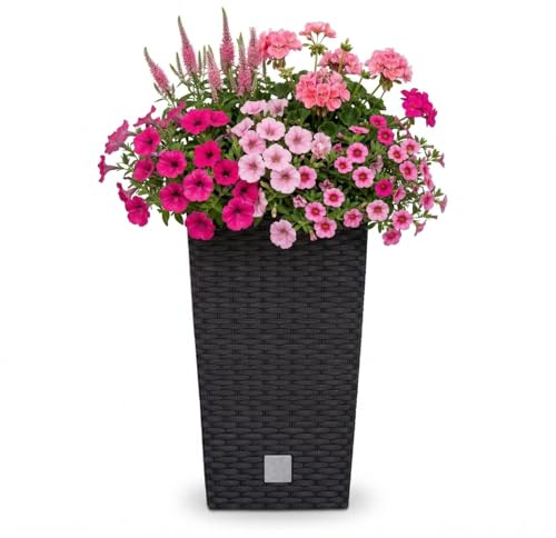Prosperplast Blumentopf in Rattan-Optik Pflanzkübel mit Einsatz | 26,5 x 26,5 x 50 cm | anthrazit | wetterfest & UV-beständig | aus robustem Kunststoff | für Innen- und Außenbereich