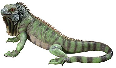 Design Toscano Iggy der Leguan Gartenstatue, Polyresin, Vollfarbe, 24 x 56 x 22 cm