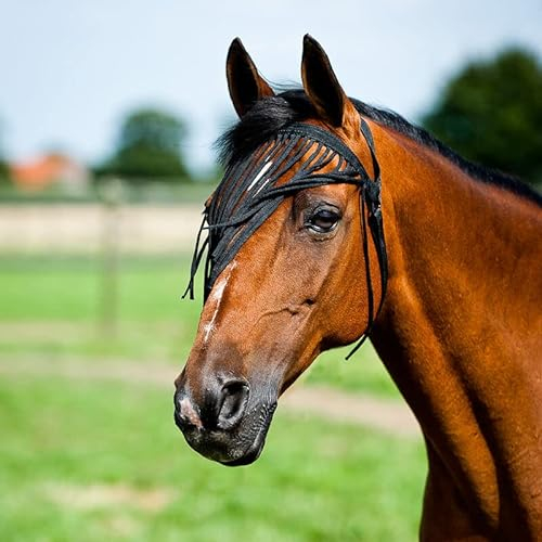 Horze Horse Fly Mask Veil, Soft Stretch, Ultra Lightweight Equine Fly Mask