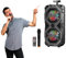 Avilia Cassa Karaoke Bluetooth Wireless con Microfono Integrato, Effetto Eco, Illuminazione LED Colorata - Casse Amplificate Portatili, Batteria 2400mAh, Perfetta per Feste ed Eventi