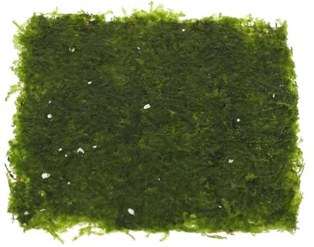 BESPORTBLE 3 Uds Alambre De Hierro Decoración Verde Acuario Helecho Decoración De Acuario Pecera De Helecho