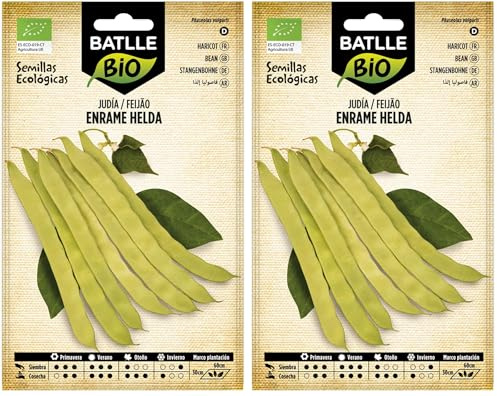 Graines Bio de Batlle - Haricots à rames Helda (28-70 graines), Blanche,Vert (Lot de 2)