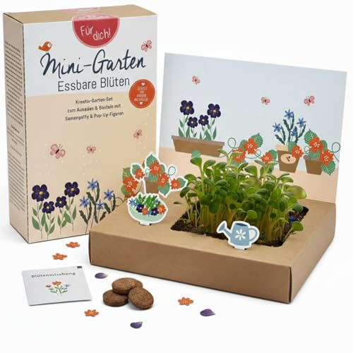 Essbare Blüten Anzuchtset Mini Garten Blumen Samen Fensterbank Balkon | Blumen-Samen für Fensterbank und Balkon - dekorative und essbare Blüten für Küche, Salate und Desserts, nachhaltig
