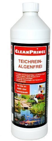 in the Pond-Algae-free 1 Liter Algae destruction Blue-green algae Brown algae Pond cleaner pond cleaner Teichrein Cleaning Clarification Water Free from algae Water clarification Bowl Green Algae Removal Remover Algae cleaning Algae remover Teichrein Pond Cleaner Canister algae remover Algae remover with Fishing Fish stock and Water plants suitable, against Blue-green algae Brown algae Algae CleanPrince 1000 ml
