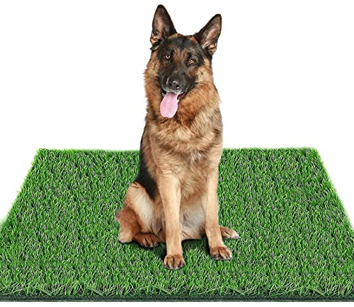 Fortune-star 39.3 in X 31.5 in Grass Pad for Dogs for Professional Potty Training, Reusable Artificial Grass for Dogs, Dog Grass with Drainage Holes, Turf Dog Potty for Indoor/Outdoor Easy to Clean
