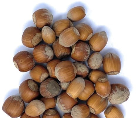Il Contadino - Antichi Sapori | NOCCIOLE IN GUSCIO | Confezione Salva Freschezza, Frutta Secca di Qualità Premium, Non Tostate, Al Naturale (1 Kg)