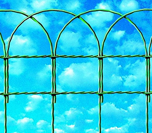 Cavatorta RA01090025B Rete Ornamentale Ondulata, Zincata E Plasticata, Fili Verticali Ondulati Dia, Fili Orizzontali Intrecciati Dia