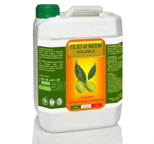 Olio di Neem Solubile, Argan Italia, idrosolubile, solubile in acqua (confezione di 5 Litri)