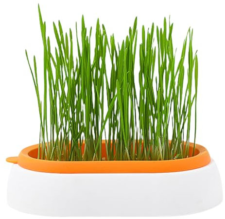 Ristyur Katzengras-Wachstumstopf, Hydroponisches Katzengras-Tablett, Keimtablett für Katzen, Hunde und andere Haustiere im Innen- und Außenbereich, verhindert Haarballen und fördert die Verdauung