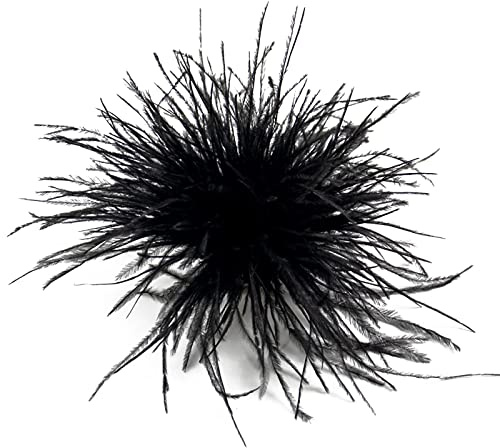 COSSIKA Brosche, Schwarz, Feder, Klassisch, Unisex