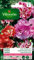 VILMORIN - Godétia Double à Fleurs d'Azalée en mélange- semences pour plantations - Fleurs Basses 40 cm annuelles - pour Un Jardin très Romantique- Floraison abondante, Roses