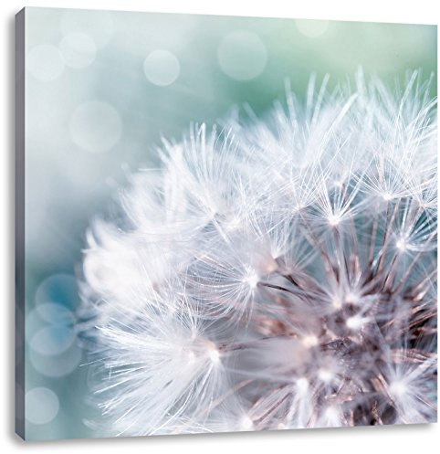 Pixxprint Zauberhafte Pusteblume, Größe: 60x60, Leinwandbild Quadratisch, Wandbild, Kunstdruck, fertig bespannt
