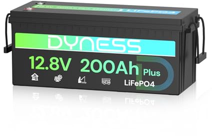 Dyness LiFePO4 Batería de Litio 12V 200Ah con BMS de 200A y Protección contra Bajas Temperaturas, 2560Wh para Ciclo Profundo en Marina/RV, Ideal para Solar, Overland/Furgonetas y Fuera de la Red