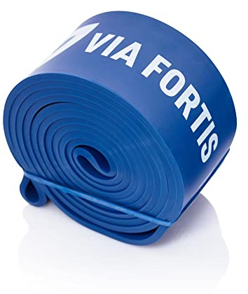 VIA FORTIS Premium Resistance Bands + Übungsanleitung und Tasche - Widerstandsbänder/Klimmzugband und Klimmzughilfe/Trainings-Bänder für Fitness & Krafttraining