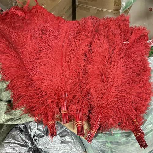 Plumes d'autruche rouges en vrac 15-75 cm, plumes naturelles pour artisanat, décoration de table de fête de mariage, plumes de carnaval - 60-65 cm, grand poteau - 10 pièces