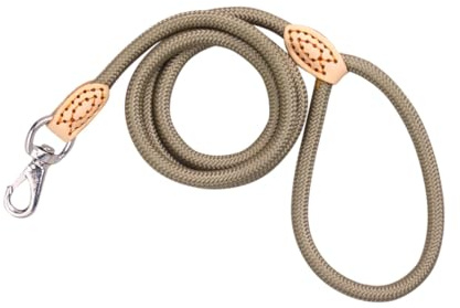 TOYANDONA Laisse pour Chien Corde Nylon Beige avec Poignée Cuir Robuste et Métallique Résistant Laisse de Dressage Solide pour Chiens Actifs