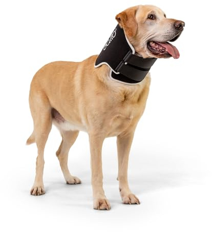 Balto Neck Eco E-Halsband Alternative – Hunde-Genesungshalsband – gepolsterter Hundekegel – vor/nach Operationen schützt Wunden und Ausschläge – nur Körperschutz (groß)