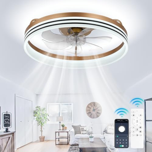 Cainjiazh Ventilateur de plafond avec lumières et télécommande, ventilateur de plafond moderne à LED, lumières de ventilateur de plafond à profil bas pour la chambre à coucher, la cuisine et le salon
