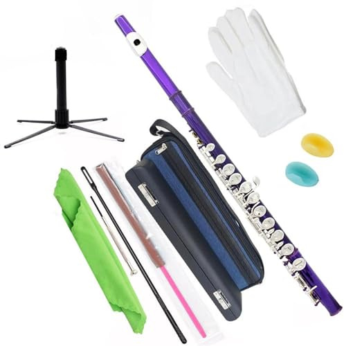 16-Tasten-C-Ton-Schülerflöte Mit Geschlossenem Loch, Tragbarem Rucksack Und Zubehörset Querflöte kit (Color : E)