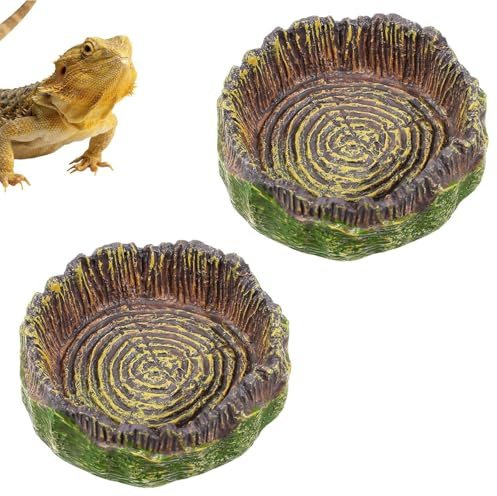 Rosqmor 2 Pièces De Bol à Eau pour Gecko, Bol à Eau pour Petites Iguanes, Crabe Hermaphrodite, Accessoires De Terrarium pour Reptiles, Bols à Eau pour Iguanes, Lézards, Geckos Léopards