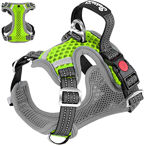 Eyein Hundegeschirr für Kleine Mittelgroße Hunde, Air Mesh Atmungsaktiv Brustgeschirr mit weichem Griff und Abschließbare Karabiner, ausbruchsicher reflektierend Hund Geschirr für Welpen, Grün, S