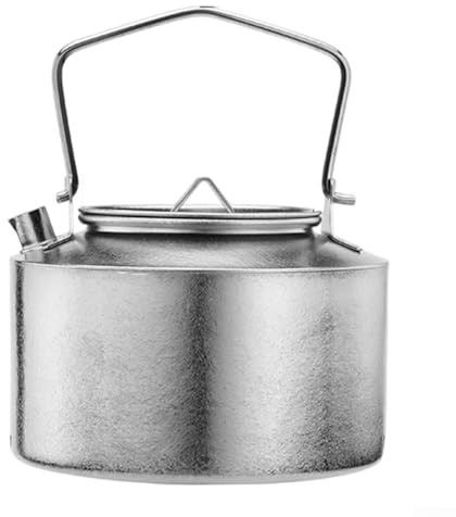Bouilloire portable en titane pur de 980 ml avec poignée pliable pratique idéale pour le camping et les voyages (style fleur de glace)