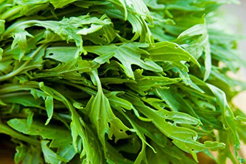 Mizuna 300 Seeds, Leafy Salad Seeds, Green Leaves Seeds