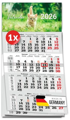 PRIMUS PRINT 4-Monats Einblockkalender 2026 mit Schieber - Wandkalender zum Aufhängen - großer Monatskalender- inklusive Feiertagen - verschiedene Motive, verschiedene Sets [ 1x Katzenbaby ]