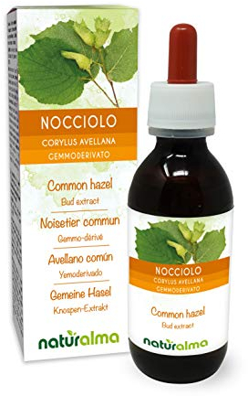 Common Hazel (Corylus avellana) Alcohol-Free Bud Extract from Fresh Buds Naturalma - Liquid Drops 120 ml - Food Supplement - Vegan