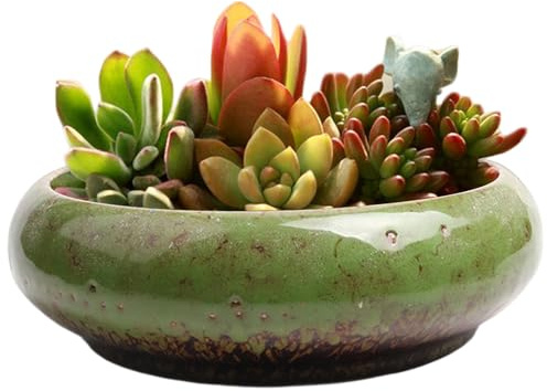 Pot de fleurs en forme de bol lotus, pot à bonsaï en céramique émaillée avec glaçage fluide unique, fleurs rétro peu profond pour cactus, plantes d'intérieur, décoration d'intérieur (18, 1 c