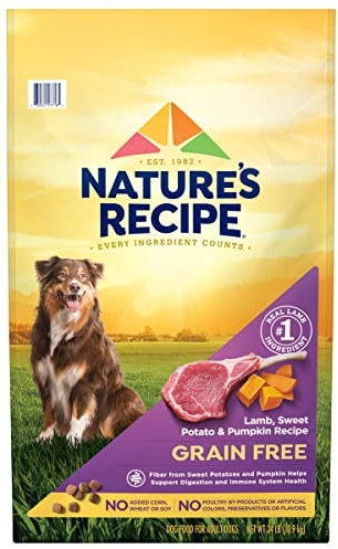 Nature’s Recipe Grain Free Lamb, Sweet Potato & Pumpkin Recipe Dry Dog Food, 24 lb. Bag
