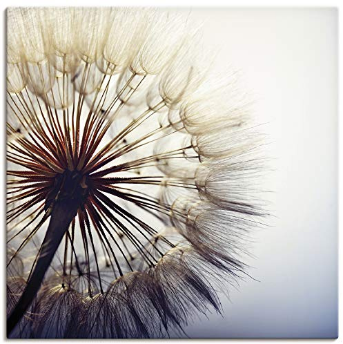 ARTLAND Wanddeko Leinwand Bilder Wandbild Blumen Pusteblume Botanik Blüten Modern Kunst Sommer Natur T4RE