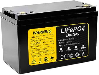 WILLQ 12V 200Ah 150Ah 100Ah 80Ah Lithium Iron Phosphate Battery LiFePO4 Rechargeable Replace SLA AGM Fit for Solar Boat RV Marine Camping Power Battery with BMS,12V80Ah