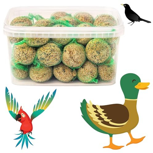 Bite & Delight Boules de Graisse pour Oiseaux - 1,5 kg de Nourriture Riche en Nutriments - Idéal pour Mésanges, Moineaux et Oiseaux de Jardin - Aliment pour Toute l'Année