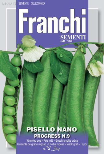 SEMI PISELLO NANO PROGRESS N.9 103/13