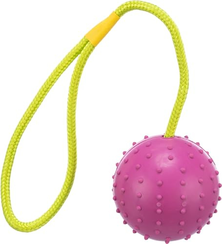 TRIXIE Schleppleine S–M, 10 m 15 mm in schwarz - Lange Hundeleine für Training und Outdoor - für kleine bis mittelgroße Hunde - 19787