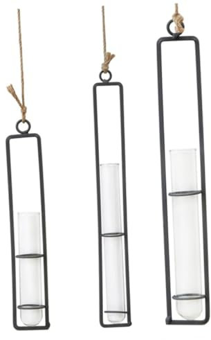 SEWOART Eisen Blumenhänger Glas Pflanzgefäß Mit Stabilem Rahmen Transparenter Hängevasen Blumentopf Für Zimmerpflanzen Wohnzimmer Deko Als Hängetopf Für Grüne Pflanzen Klein