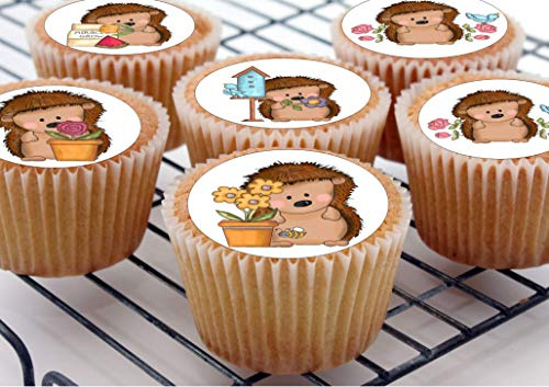 24 Hedgehog edible kids childrens party decorations Iced Icing CupCake Toppers