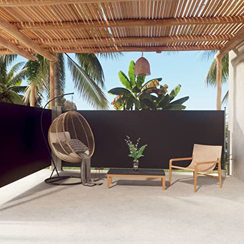 ARKEM Seitenmarkise Ausziehbar Schwarz 140x600 cm Wandmakise Sichtschutz Sonnenschutz Windschutz, Seitenrollo für Terrasse, Garten