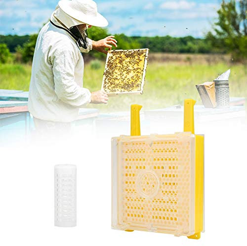 Imker-Königinnenaufzuchtset – Enthält Königinnenzellen, Königinnenkäfig, Brutübertragungsbox, Markierungsflaschen – Unverzichtbare Bienenzuchtwerkzeuge für die